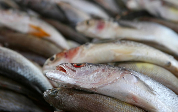 生魚片
