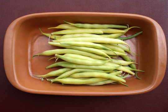 莢中的字符串