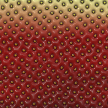 Strawberry的紋理