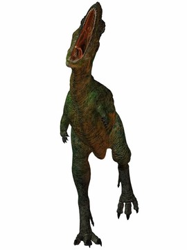 aucasaurus-3d恐龍