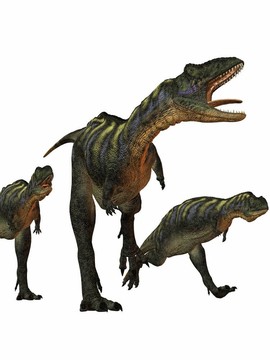 aucasaurus-3d恐龍