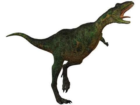 aucasaurus-3d恐龍