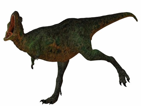 aucasaurus-3d恐龍