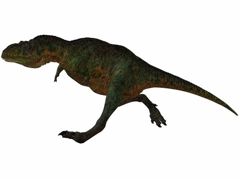 aucasaurus-3d恐龍
