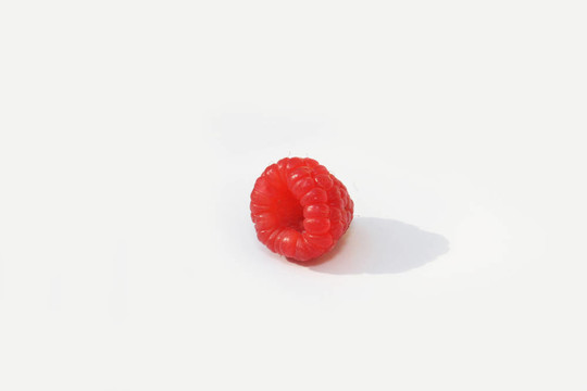 單一的覆盆子