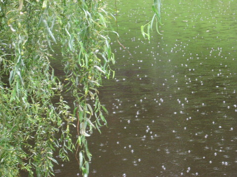 水