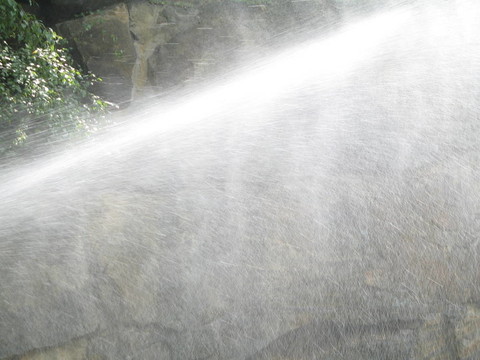雨