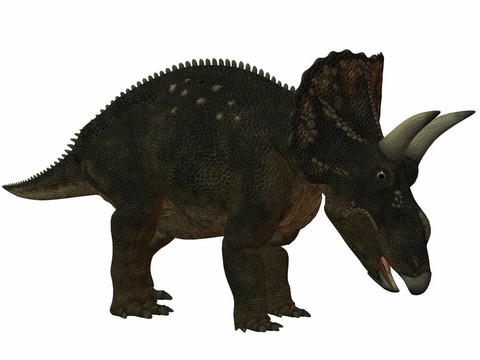 diceratops-3d恐龍