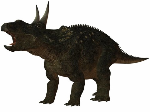 diceratops-3d恐龍