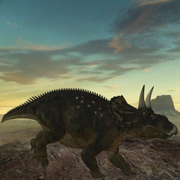 diceratops-3d恐龍