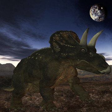 diceratops-3d恐龍