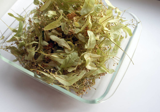 干燥花的菩提樹