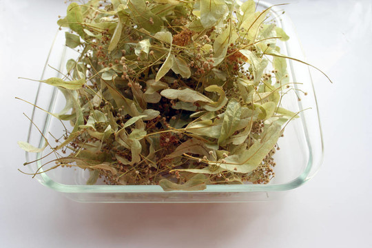 干花的林德