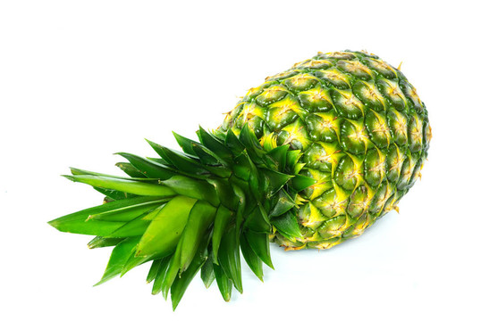 菠蘿