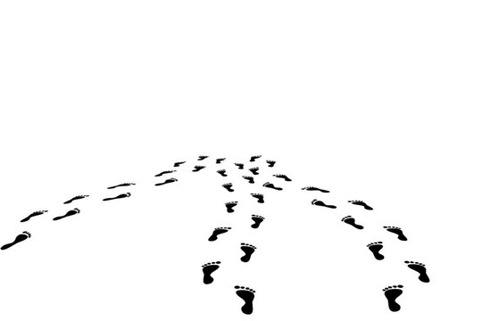 蹤跡