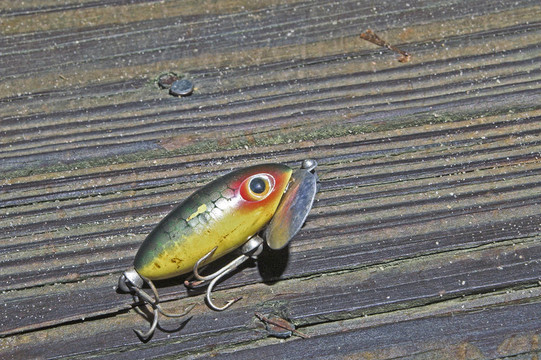 釣魚用的誘餌