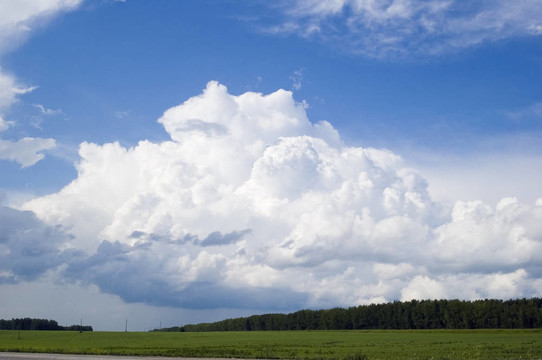 Cloudscape森林