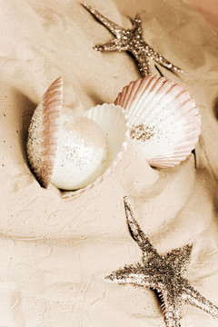 貝殼和Starfishes