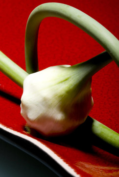 藝術(shù)的大蒜