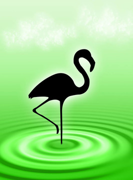 在水里的火烈鳥