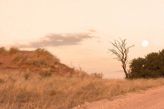 Moon在Kgalagadi
