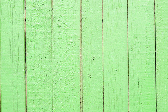 綠色木背景