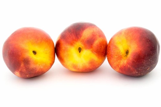 三油桃