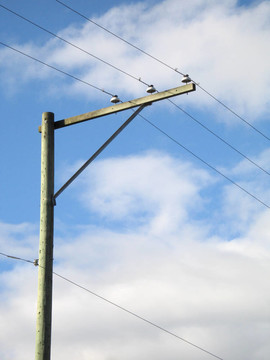 電線桿