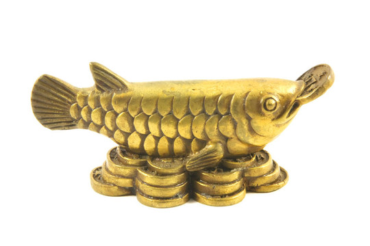 黃銅龍魚