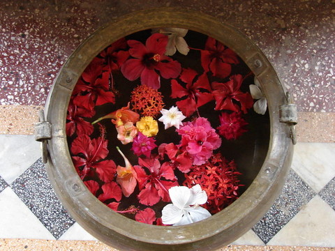 花在水