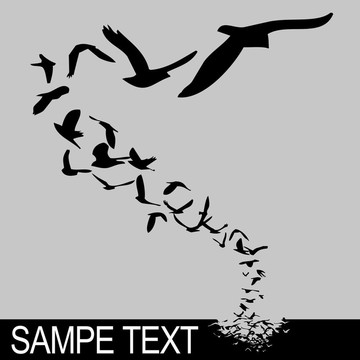 飛翔的鳥