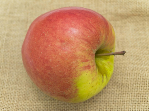 在亞麻布上的蘋果