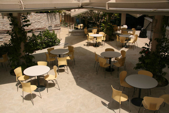 新加坡的植物園