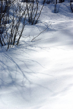 雪的細(xì)節(jié)