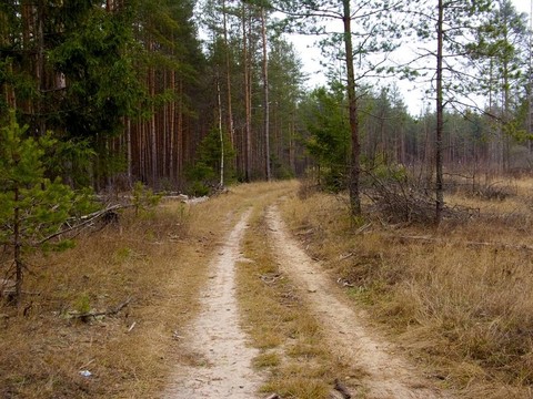 路