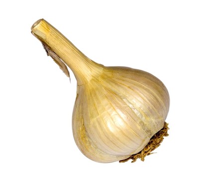 大蒜