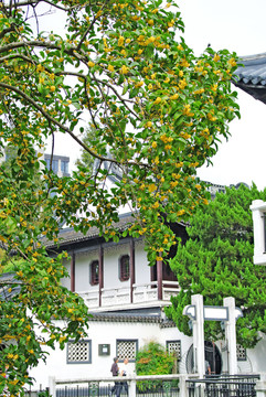 中式建筑 中式回廊