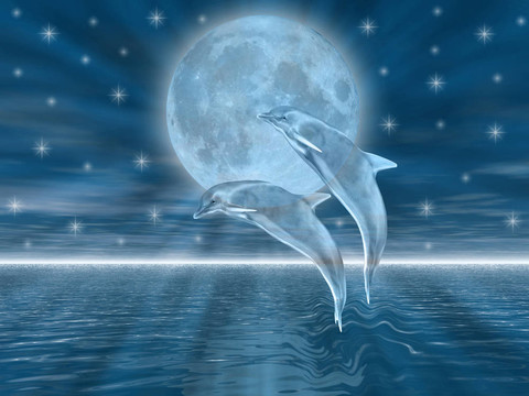 海豚