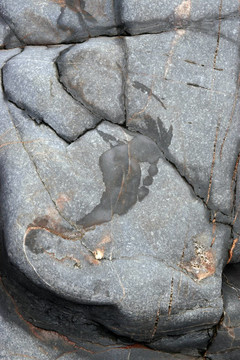 濕的足跡