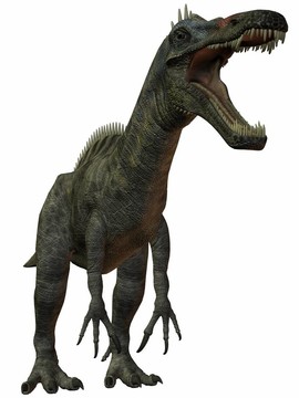似鱷龍tenerensis