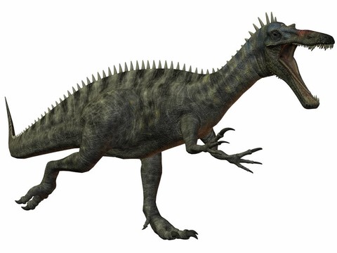 似鱷龍tenerensis