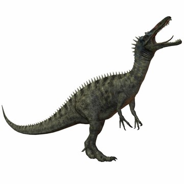 似鱷龍tenerensis
