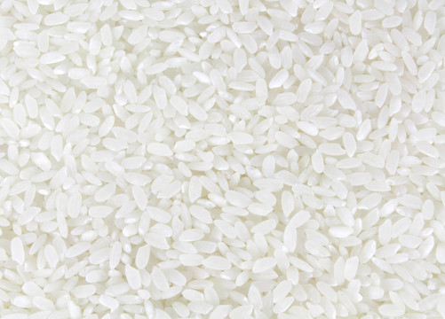 White Rice全背景