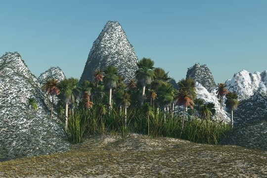 熱帶島嶼