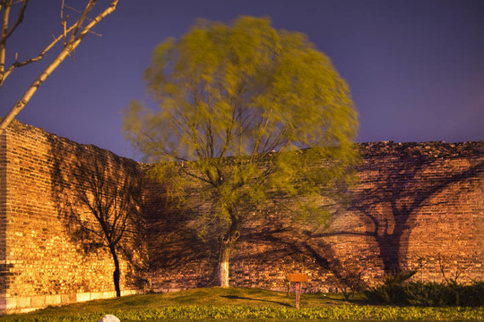 Green Willow和陰影的中國(guó)北京環(huán)城公園