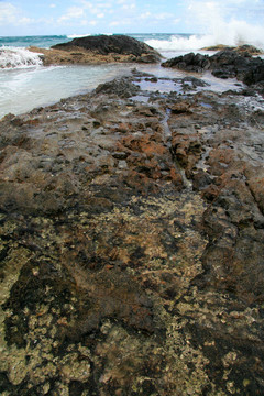 弗雷澤沙島；聯(lián)合國教科文組織；澳大利亞