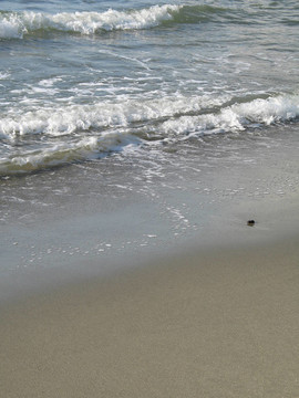 海灘上的波浪