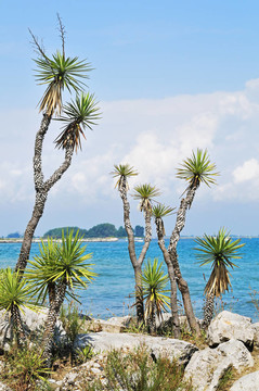 海景
