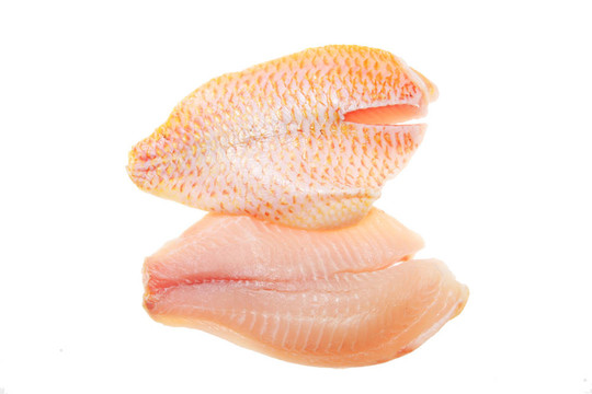 紅鯛魚片