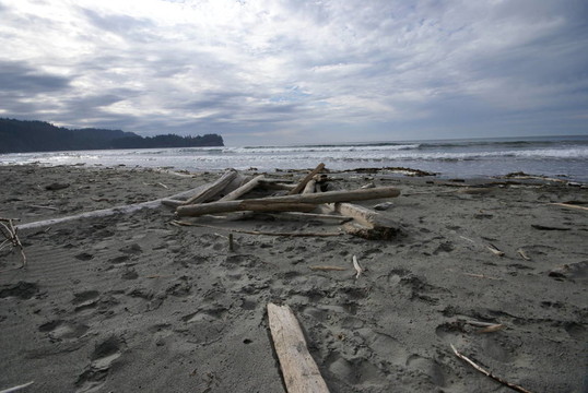 新月形海灘driftwood1
